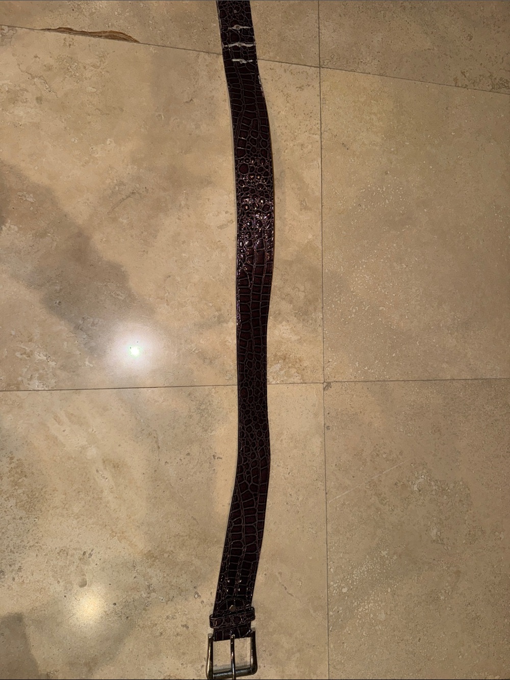 Classic Croc-Embossed Leather Belt in Dark Brown